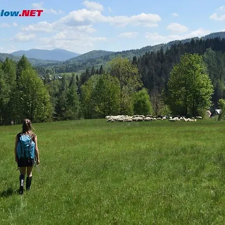 Resort Helvetia Wellness & Spa