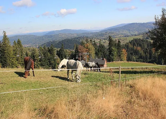 Resort Helvetia Wellness & Spa Korbielow