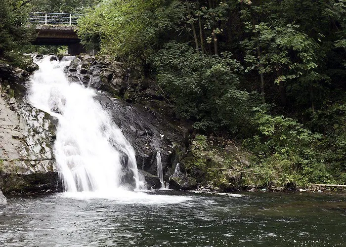 Resort Helvetia Wellness & Spa 3*